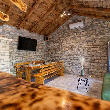 Pet Friendly In