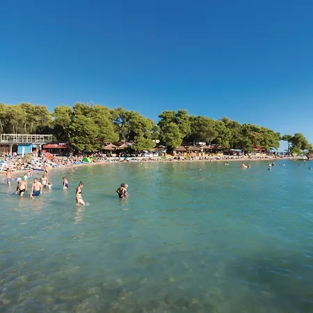 Nyaraló Pet Friendly In *